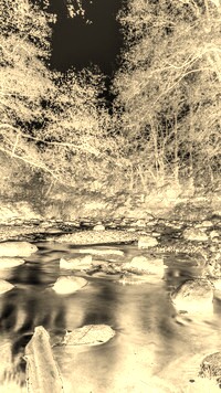 Sepia + Negatyw