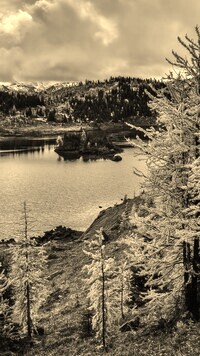 Sepia