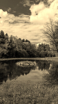 Szary + Sepia