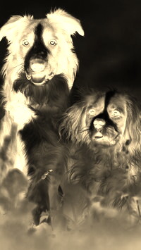 Sepia + Negatyw