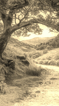 Szary + Sepia