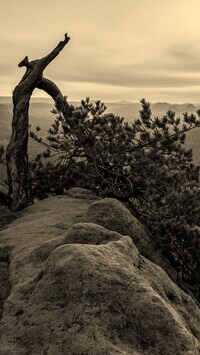 Szary + Sepia
