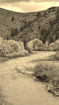 Sepia