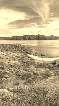 Sepia