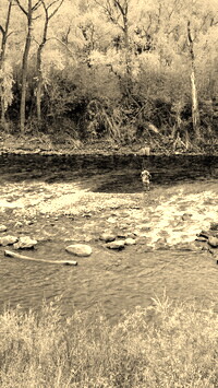 Sepia
