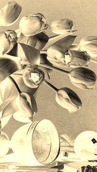 Sepia + Negatyw