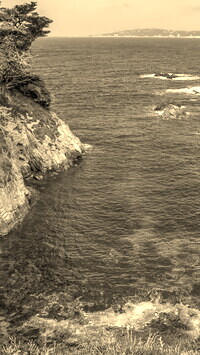 Szary + Sepia