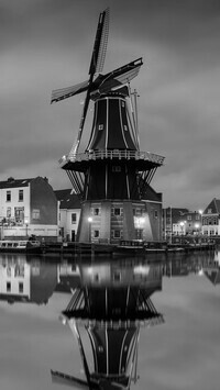 Szary