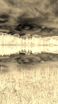 Sepia + Negatyw