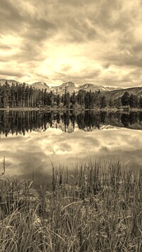 Sepia