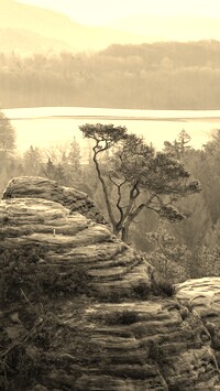 Szary + Sepia