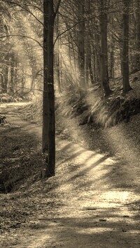 Szary + Sepia