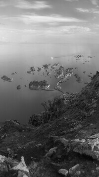 Szary