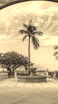 Szary + Sepia