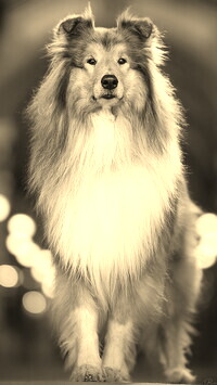 Sepia