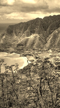 Sepia