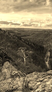 Sepia