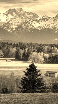 Szary + Sepia