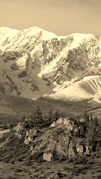 Sepia