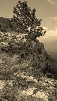 Sepia