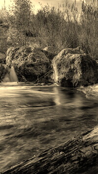 Sepia