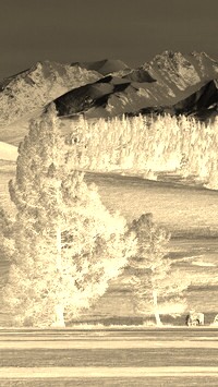 Sepia + Negatyw