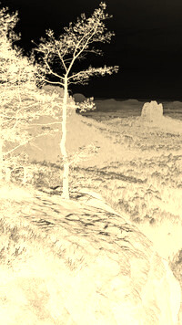Sepia + Negatyw