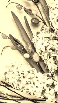 Szary + Sepia