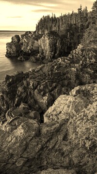 Sepia
