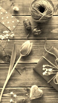 Szary + Sepia
