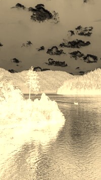 Sepia + Negatyw
