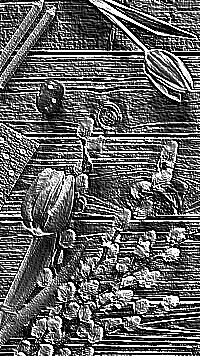Skamielina