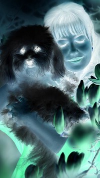 Negatyw