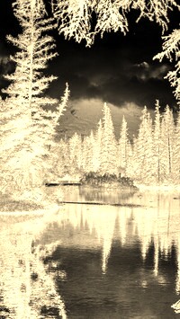 Sepia + Negatyw