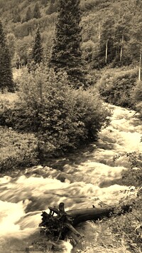 Sepia