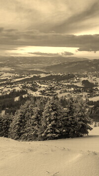 Sepia