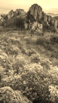 Szary + Sepia