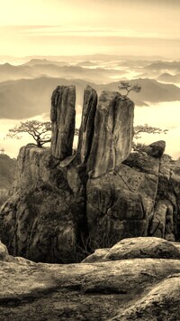 Szary + Sepia