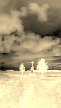 Sepia + Negatyw