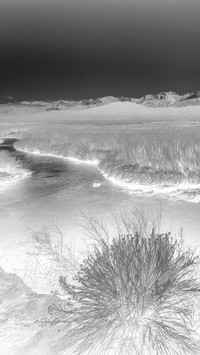 Szary + Negatyw