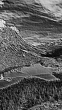 Skamielina