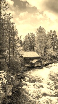 Szary + Sepia