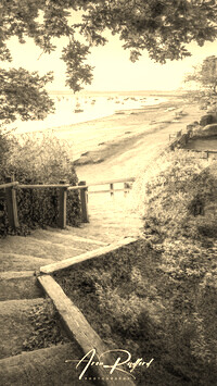Szary + Sepia