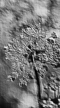Skamielina