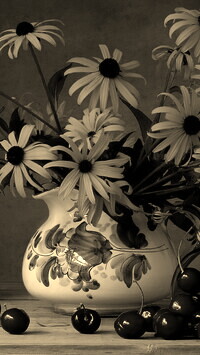 Szary + Sepia