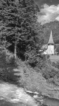 Szary