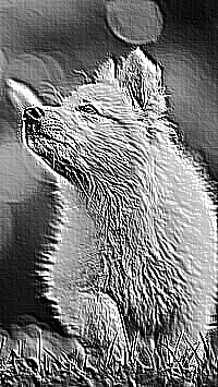Skamielina