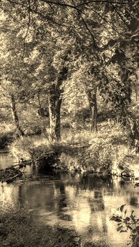 Sepia