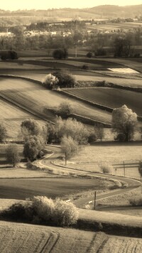 Sepia