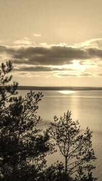Szary + Sepia